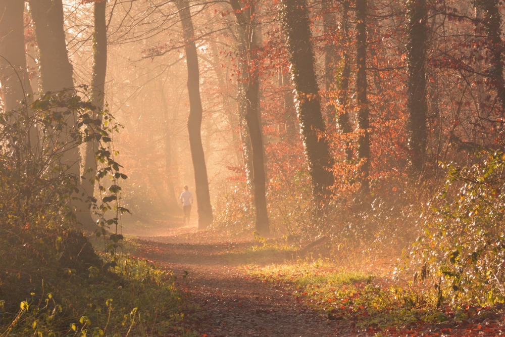 hardlopen in de herfst