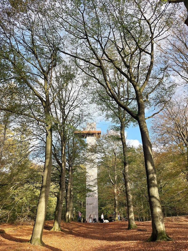 hardlopen in de natuur