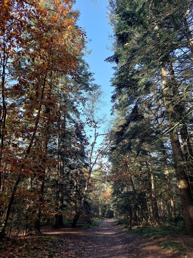 hardlopen in de natuur